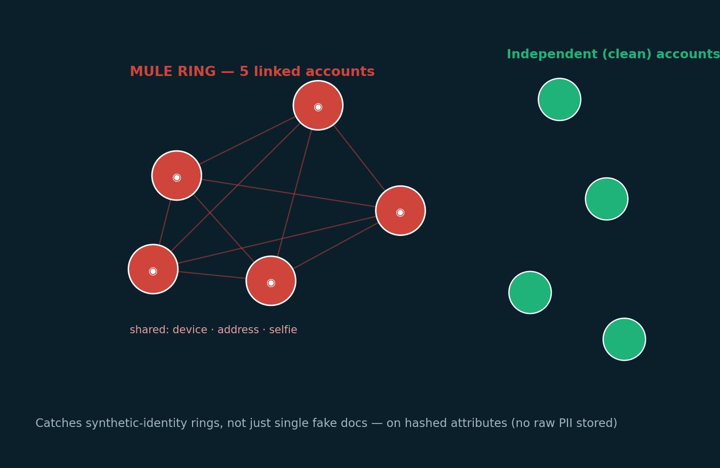 Mule and synthetic-identity ring detection across linked accounts